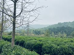 -九龙潭景区
