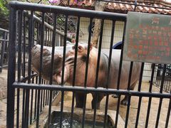 -昆明动物园