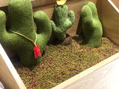 大堂-炖物24章·顺时轻养茶(杭州保利时光里店)