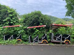 -四明湖