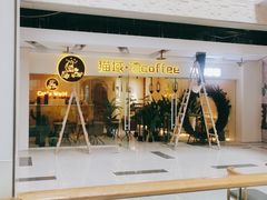 -猫域·湾主题猫咖·宠物吧(南坪城市广场店)