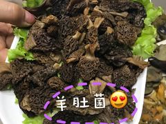 -爱膳菌锅锅(阳南店)