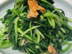 邹山腐皮鸡毛菜-竹外桃花·江南小酒馆(SKP·S店)