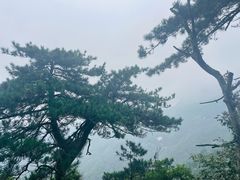 -明堂山风景区