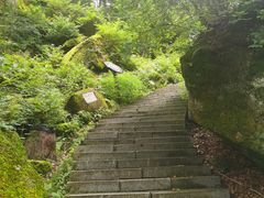 -汤旺河林海奇石景区