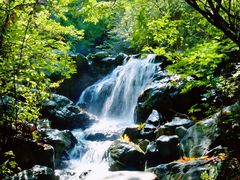 -野三坡百草畔景区