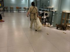 -安格丽娜·狗咖·猫咖羊驼咖(春熙路百盛商场店)