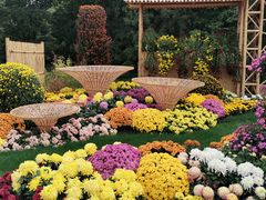 -上海共青森林公园