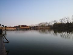 -溱湖国家湿地公园