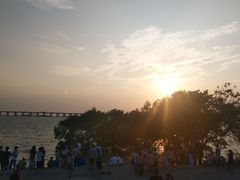 -宝安西湾红树林湿地公园