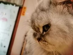 -万小咖.猫咖(中山路天虹店)