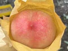 -老袁家蜜桃农场·阳山水蜜桃