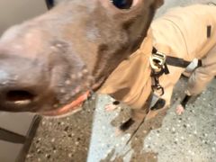 -加伍磅健身(千树店)