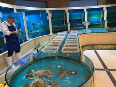 -福泉海码头(六里山店)