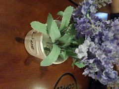 android_upload_pic-SPR COFFEE(兴正元店)