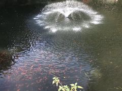 -普陀山风景名胜区-法雨禅寺