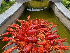 -侠舍·江湖烤全羊·大排档(沌口总店)