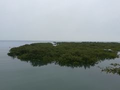 -北海金海湾红树林生态旅游区