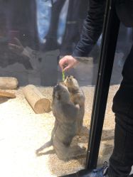 -酷嗒动物文化乐园(cutezoo西溪乐天城店)