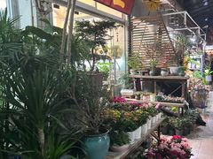 -武汉花鸟市场