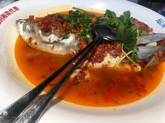 -坛宗剁椒鱼头(河西王府井店)