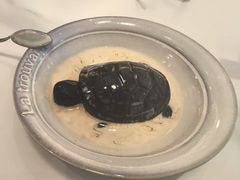 -香港新曜记茶餐厅(星耀城店)
