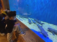 -华夏文旅海洋公园