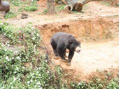 -杭州野生动物世界