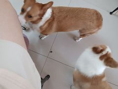 -平行世界·猫咖(首经贸店)