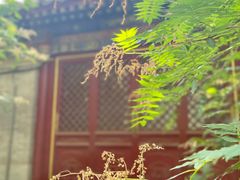 -潭柘寺景区