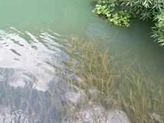 -天河潭旅游度假区