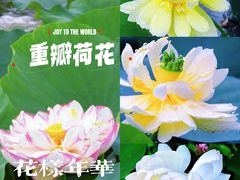 -云溪植物园