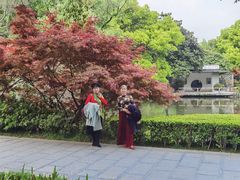 -沙市市中山公园