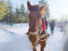 -北极村旅游风景区