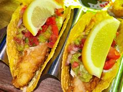 -Famous肥猫墨西哥音乐餐吧(五棵松华熙LIVE店)