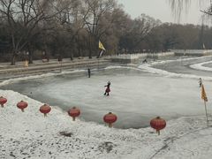 -北陵公园