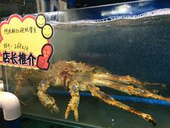 阿拉斯加长脚蟹-蚝专家(北滘店)