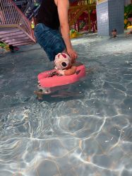 -宝燕乐园(闵行旗舰店)