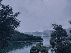 -黄山太平湖风景区