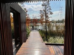 -昆山城市生态森林公园