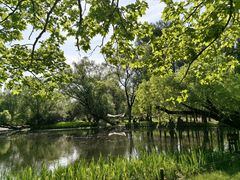 -上海共青森林公园