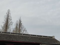 -巢湖姥山岛