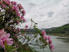 -南山植物园