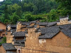 -杨家堂村