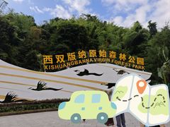 -西双版纳原始森林公园