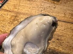 -土蚝·高压锅生蚝(百姓美食街店)