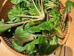 -季季山·云南野生菌火锅(上海首店)
