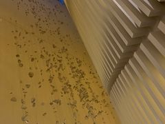 -上海衡山路十二号华邑酒店