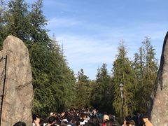 -哈利波特魔法世界
