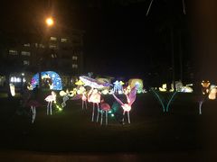 -渔家火锅·海鲜自助餐·演艺(亚龙湾天域酒店)